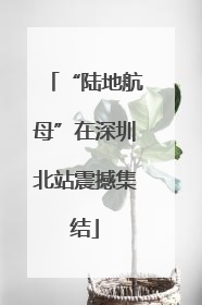 “陆地航母”在深圳北站震撼集结